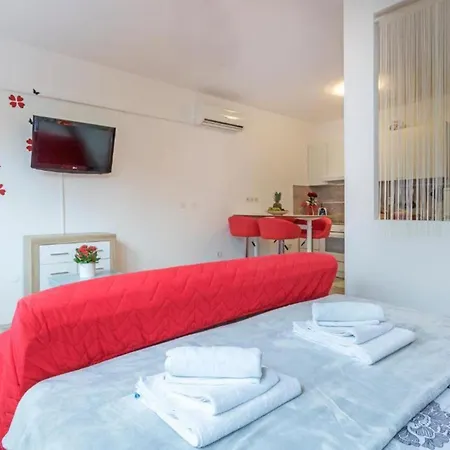 Modern And Bright With Terrace And Garden 公寓 普拉